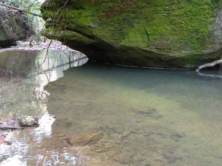 Chimney Top Creek - Koomer Ridge Trail - 1